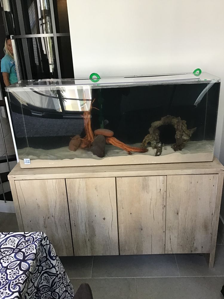 New Aquarium  for Aquariums by Sharyn in The State of Florida, FL