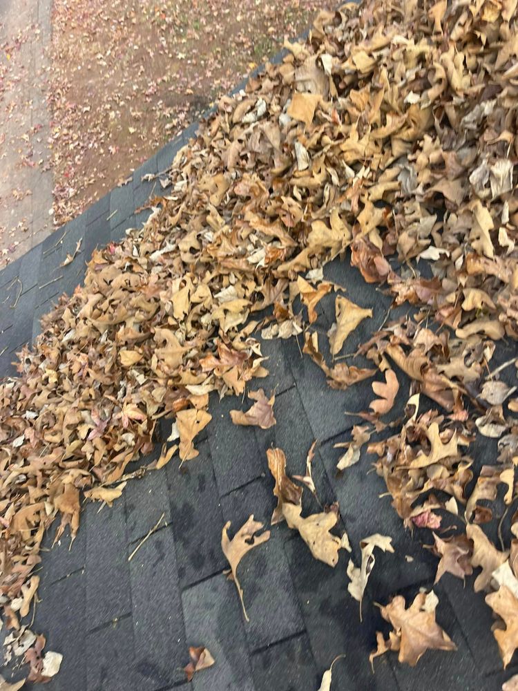 When the time of year comes for leaves to fall, we are here to ensure your beautiful lawn continues to shine through. We have the equipment and experience to leave your lawn spotless. for Man's Asap Landscaping and Handyman Services LLC in Lagrange, GA