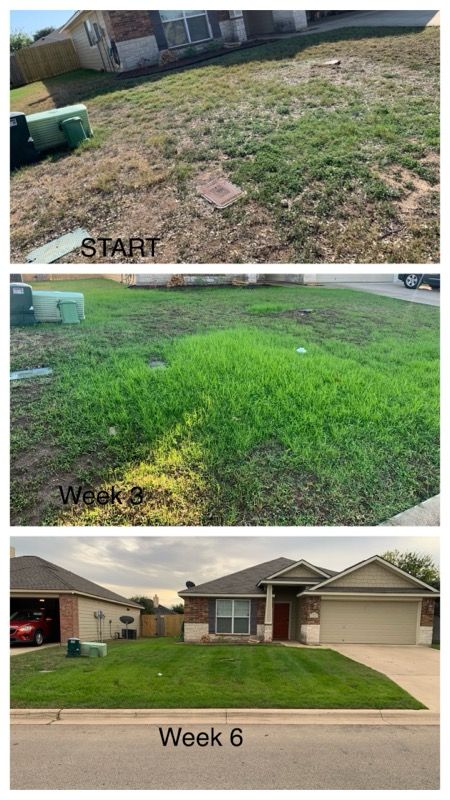 Lawn Care for Scalpel Lawn Service in Temple, TX