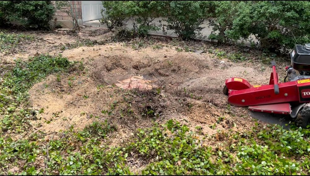 Our stump grinding service eliminates unsightly tree stumps from your property, improving aesthetics and reducing potential hazards. Our efficient equipment ensures a quick and thorough removal process for your convenience. for Neighborhood Lawn Care and Tree Service  in San Antonio, TX
