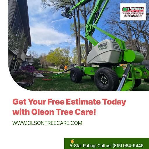 All Photos for Olson Tree Service, Inc in Rockford, IL
