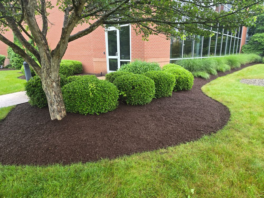 All Photos for Fancher's Lawns & Landscaping LLC in Schoharie County, NY