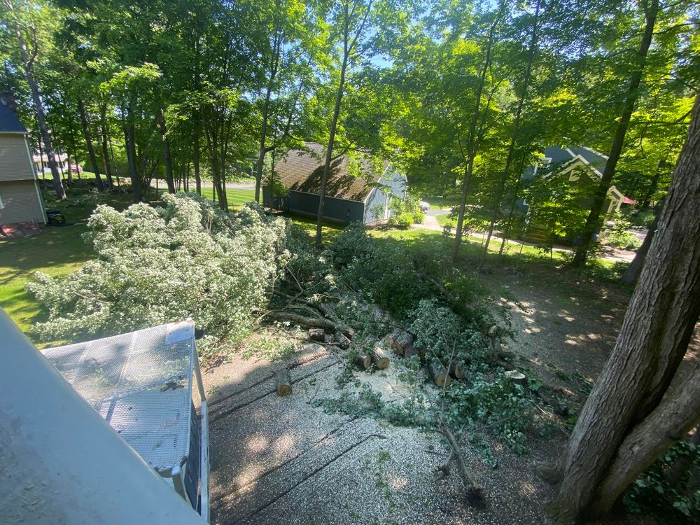 Tree Removal for Harley’s Tree Service in Palmer, MA