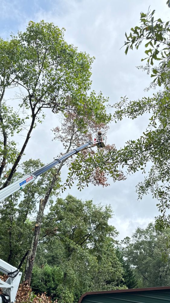 All Photos for Owens Tree Services in Inman, SC