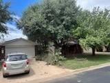 All Photos for Oviedo Land & Garden in Bastrop, TX