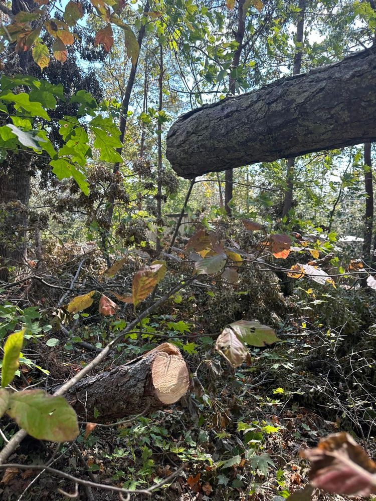 All Photos for The Flip Flop Roofer in Statesville, NC