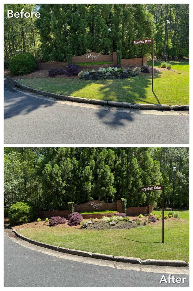 Brush Cutting and Removal for Fayette Property Solutions in Fayetteville, GA