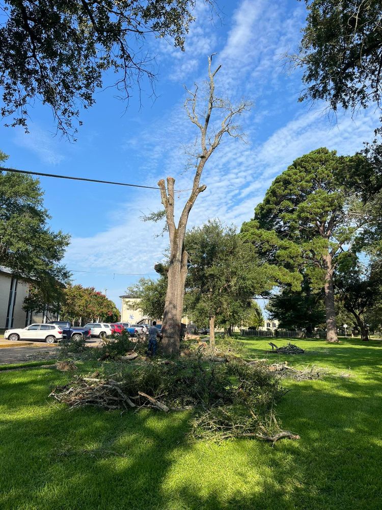 All Photos for JC Land and Tree Service in Kilgore, TX