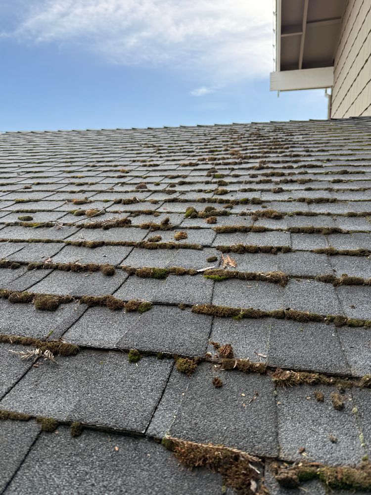 Moss Removal  for GGG Home Services in San Jose, CA