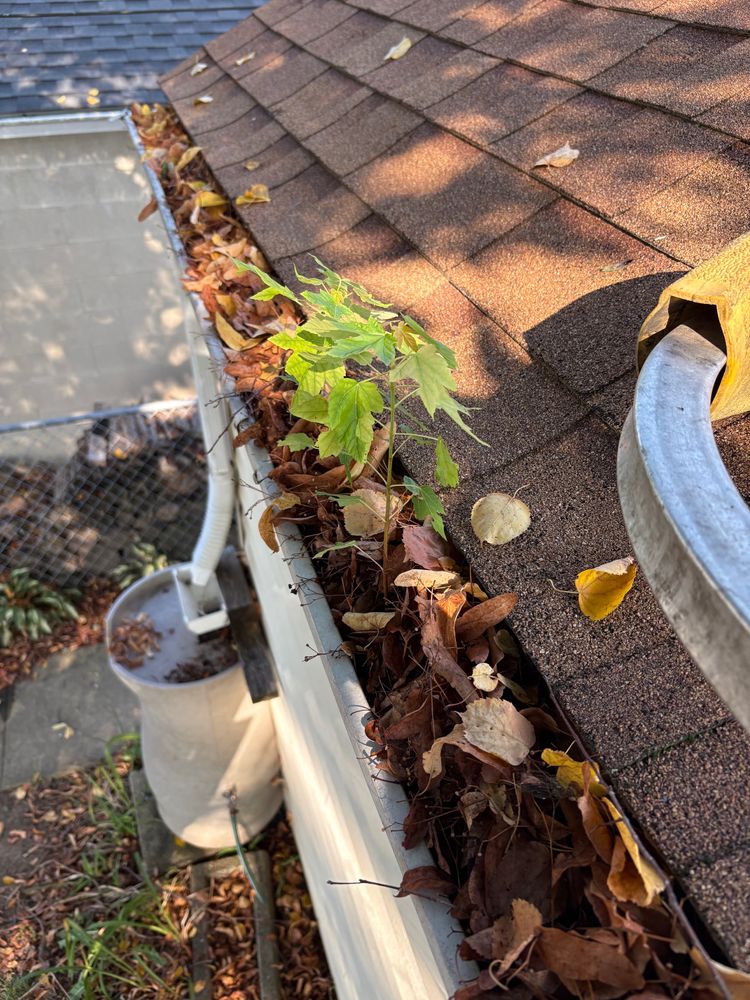 All Photos for Buckeye Roof Rejuvenate in Columbus, Ohio