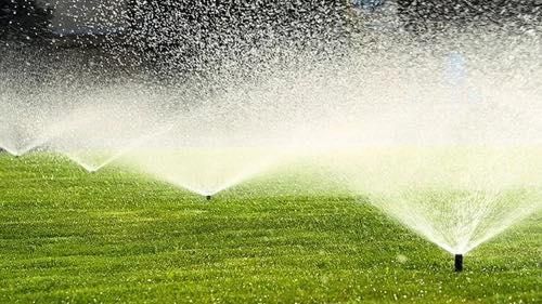Land Management for Four Seasons Property Care in Aiken, SC