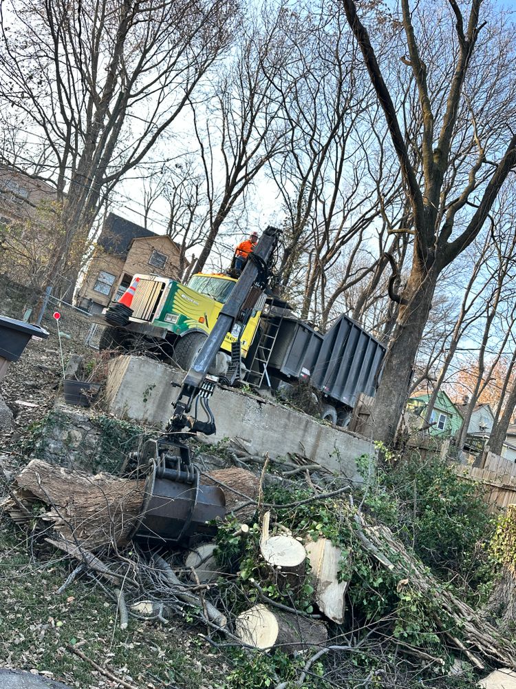 All Photos for Cross Family Tree Service in Kearney, MO