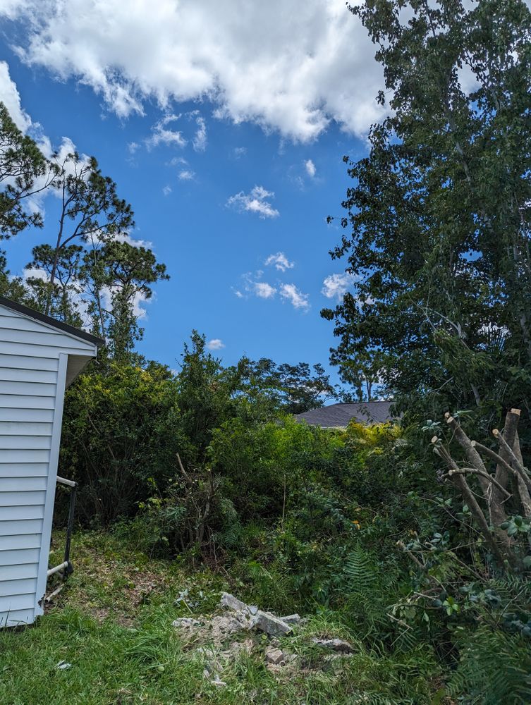 All Photos for Regal Tree Service and Stump Grinding in Wauchula, FL