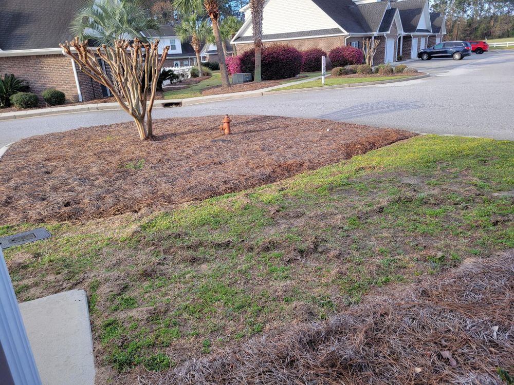 All Photos for Beasley’s Lawn Care Services in Guyton, GA