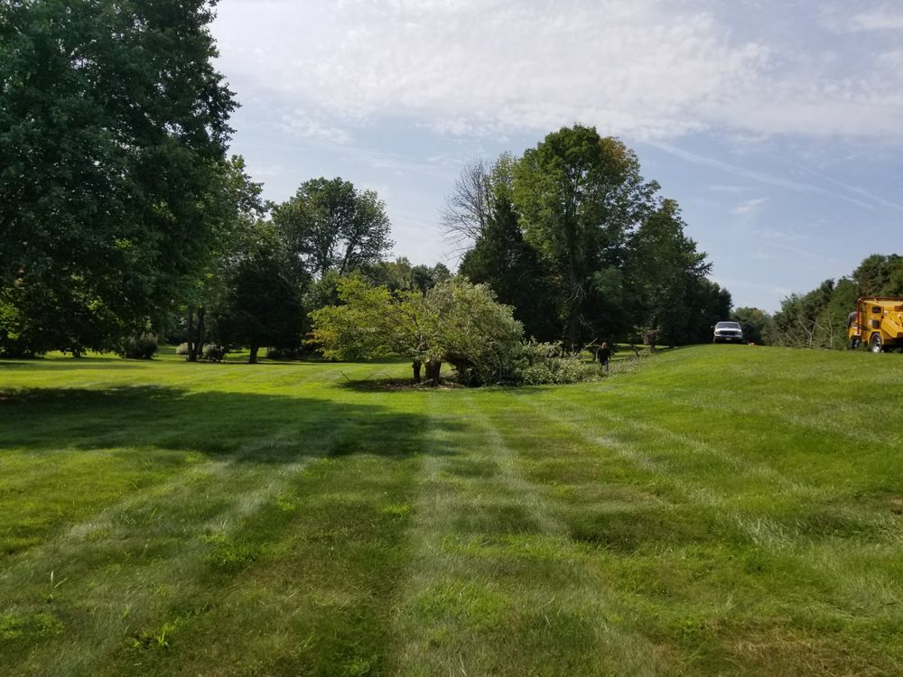Landscaping for Douthat Solutions in Clearwater, FL