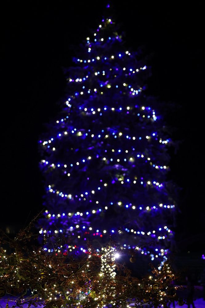 Home Softwash for Hometown Home Services Inc. in Knox, IN