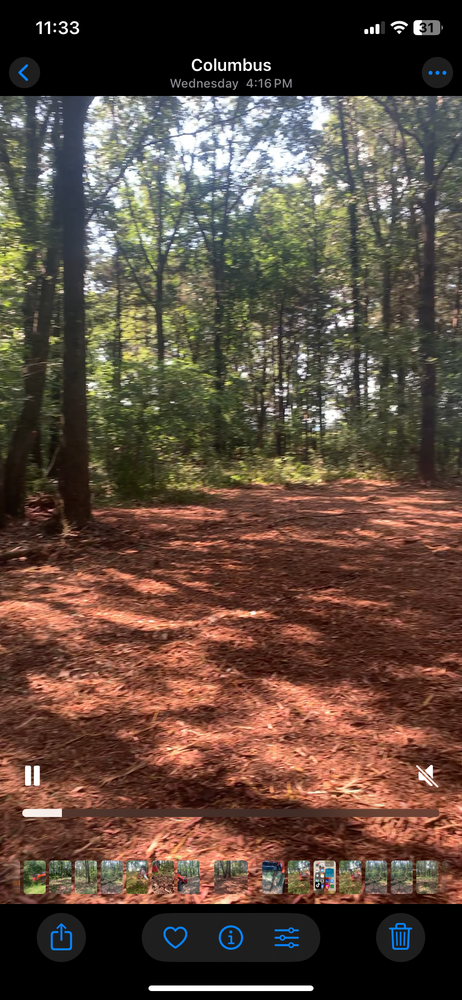 All Photos for Polasini Land Development in Starkville, MS