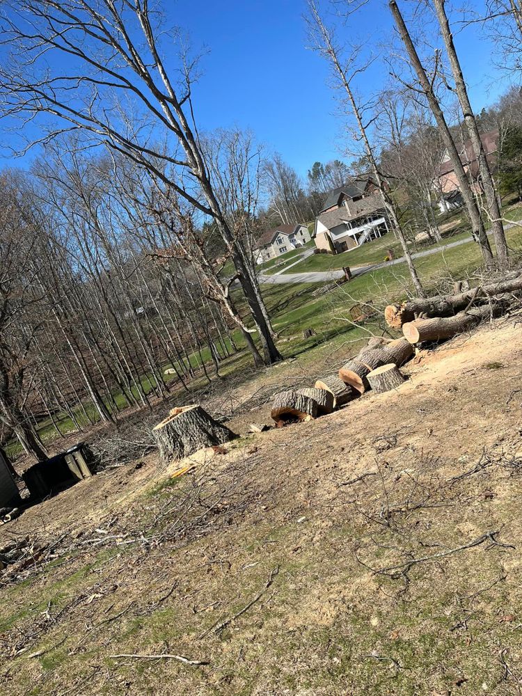 Our professional tree trimming and removal service ensures the safety and aesthetic appeal of your property. Trust us to expertly manage your trees, enhancing the beauty and value of your home. for Deer Run Property Services in Rocky Gap, VA