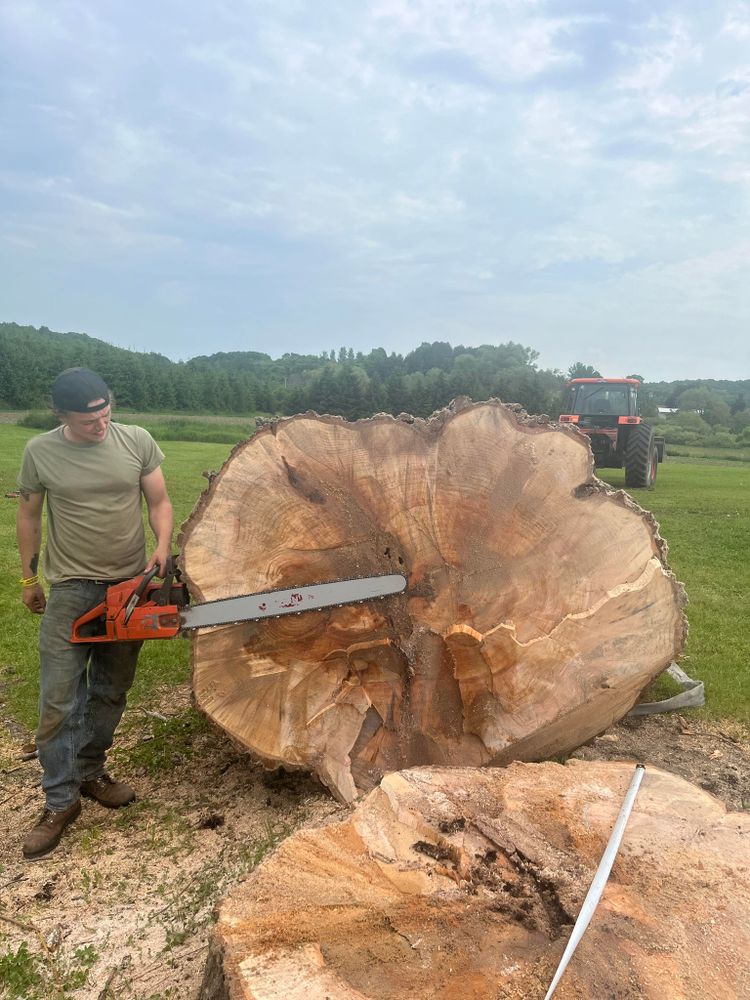 Our Tree Removal service safely removes hazardous, damaged, or unwanted trees from your property using professional equipment and expert care, protecting your home, landscape, and family while minimizing disruption. for J&Q Tree Service in Paradise, MI