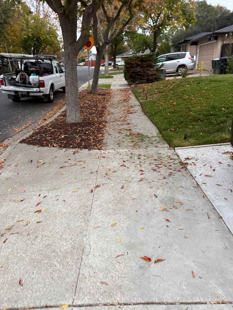 All Photos for CBA Landscaping in Hayward, CA