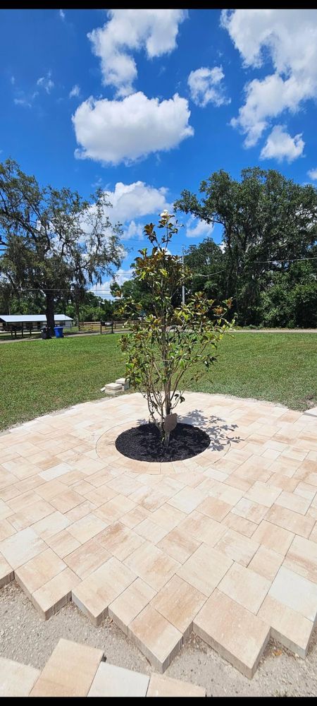 All Photos for Tezna Landscaping, Trees & Pavers in Valrico, FL