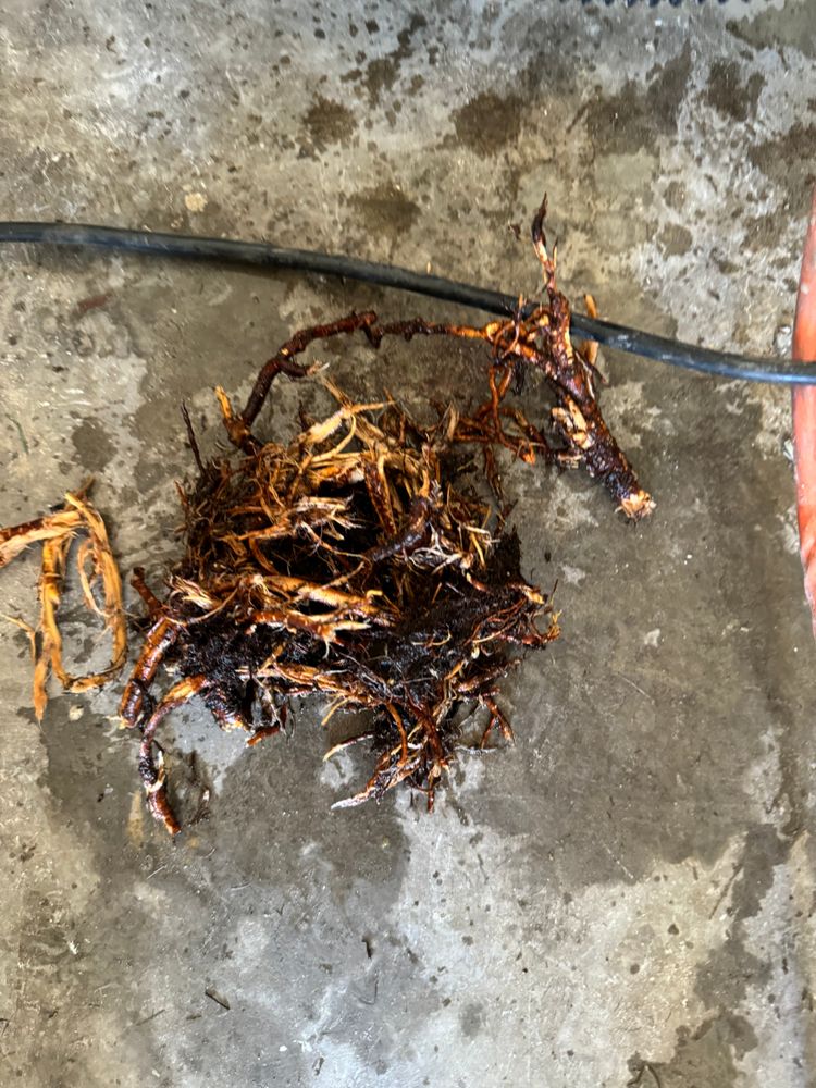 All Photos for Hendershot Construction in Maricopa, AZ