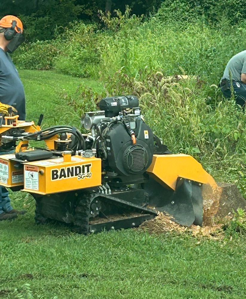 Our stump removal service efficiently eliminates unwanted stumps, improving your landscape's appearance and safety. Enhance your garden space with our professional team’s quick and clean stump removal solution for homeowners. for Mad Dust Stump Grinding in Howard County, MD