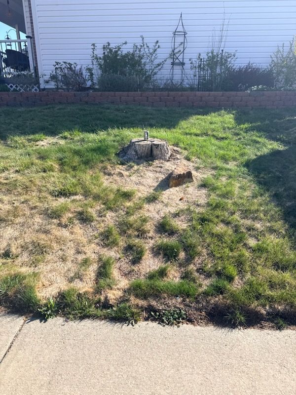All Photos for Stump Removal and Daughters in Aurora, CO