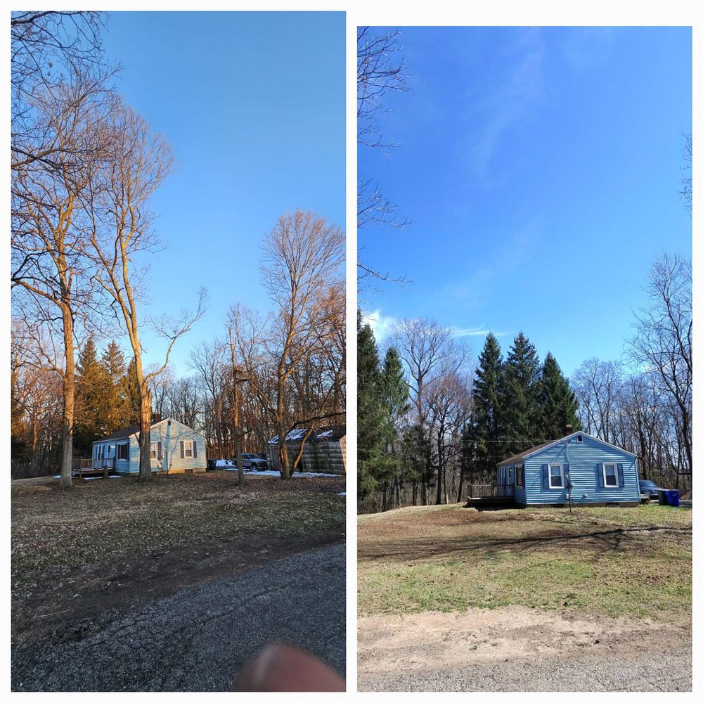 All Photos for F & F Tree Service in Beavercreek, OH