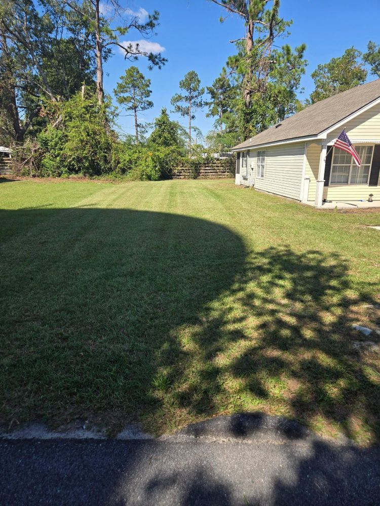 All Photos for Southern Shade Property Service in Ray City, GA