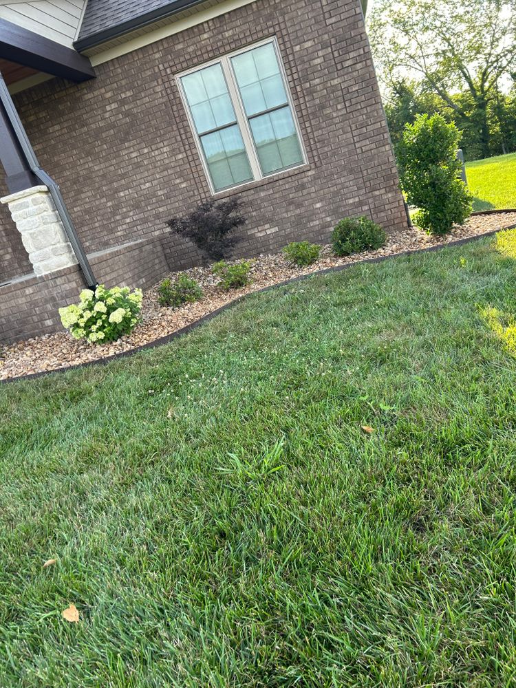All Photos for Optimum Tree Service And Landscaping in Bowling Green, KY
