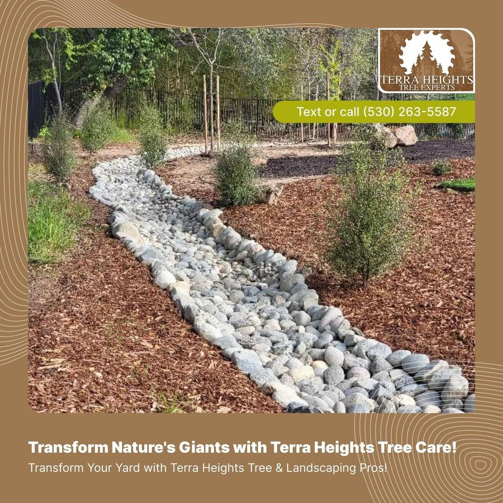 All Photos for Terra Heights Tree Experts & Landscaping  in Grass Valley,  CA