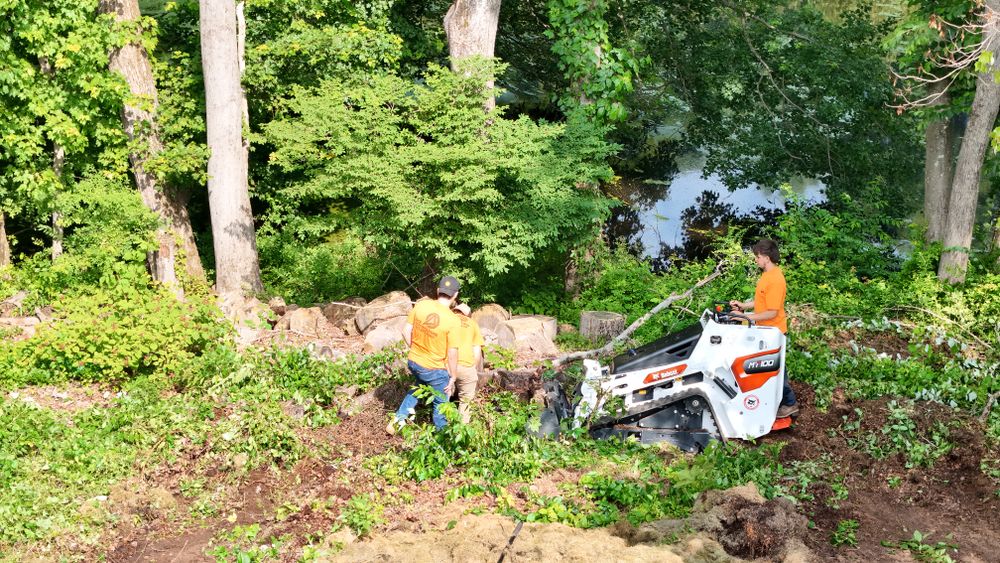 Landscape & Bed Design for Ace Landscaping in Trumbull, CT