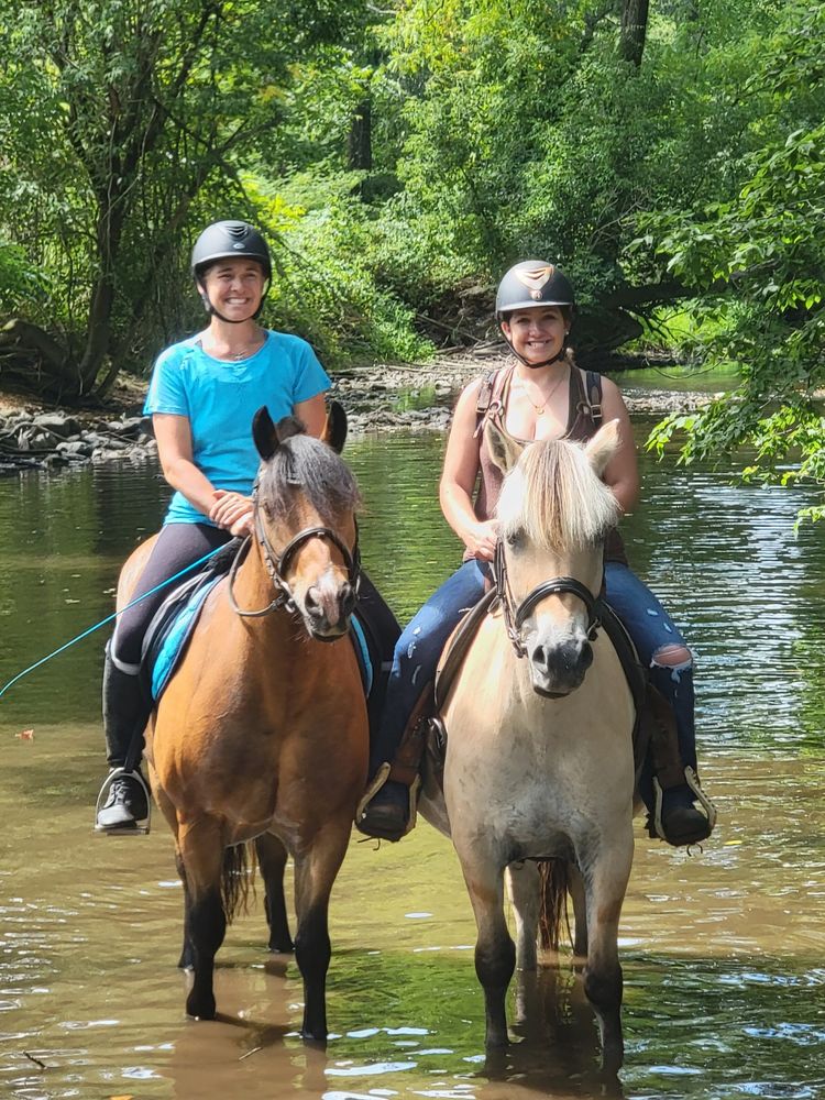 Lessons for Blue Stone Farm in Wantage, NJ