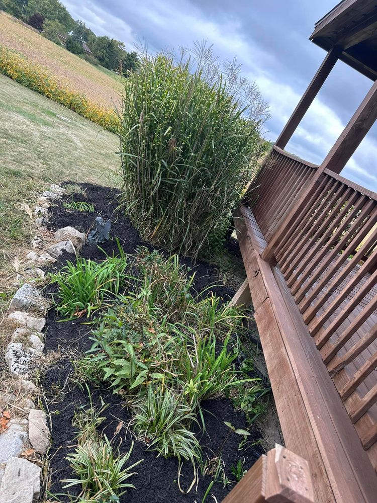 Our professional shrub trimming service will enhance the appearance of your yard by shaping and maintaining your shrubs, promoting healthy growth and adding curb appeal to your property. for LJD Lawn Service & Power Washing LLC  in Anna, OH