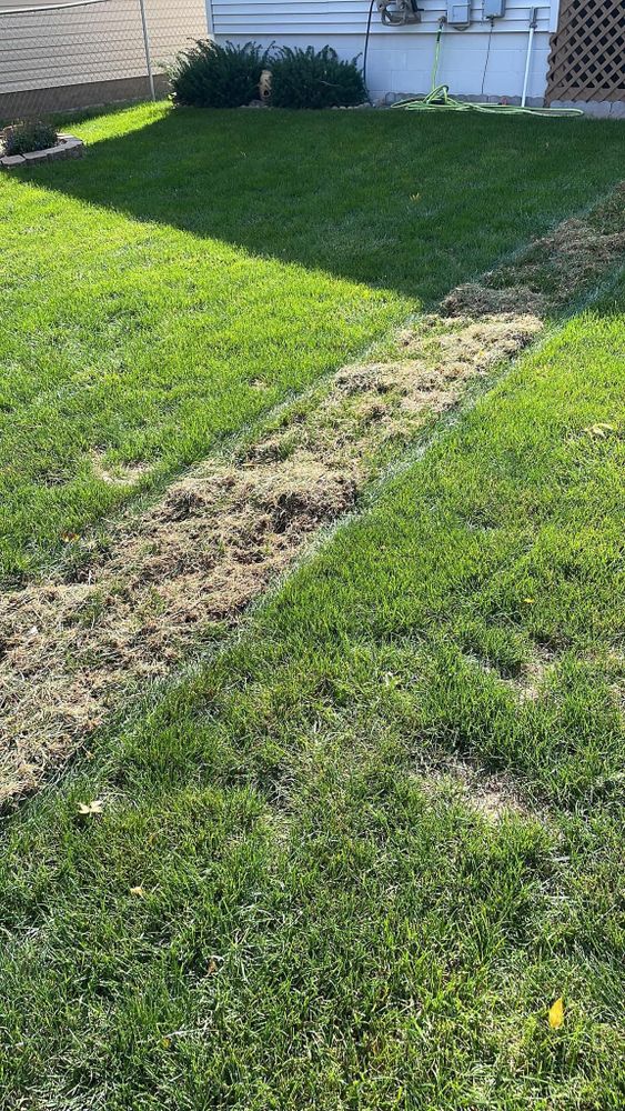 All Photos for Jacks Lawn & Landscape LLC  in Hastings, NE