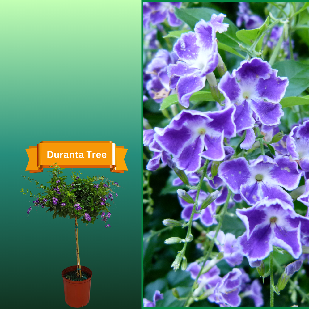 All Photos for R.B. & Company in Belleview, FL