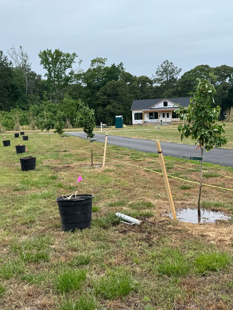 All Photos for The Whole 9 Yards Landscape VA in Heathsville, VA