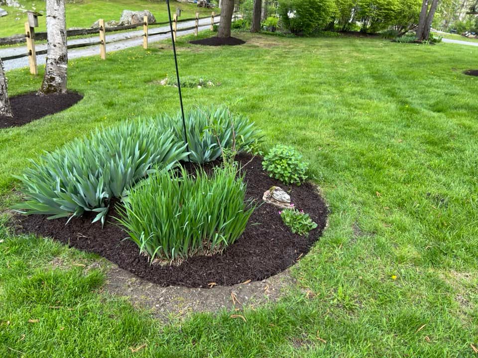 Lawn Care for Denicola’s Lawn Care in Oxbow,  NY