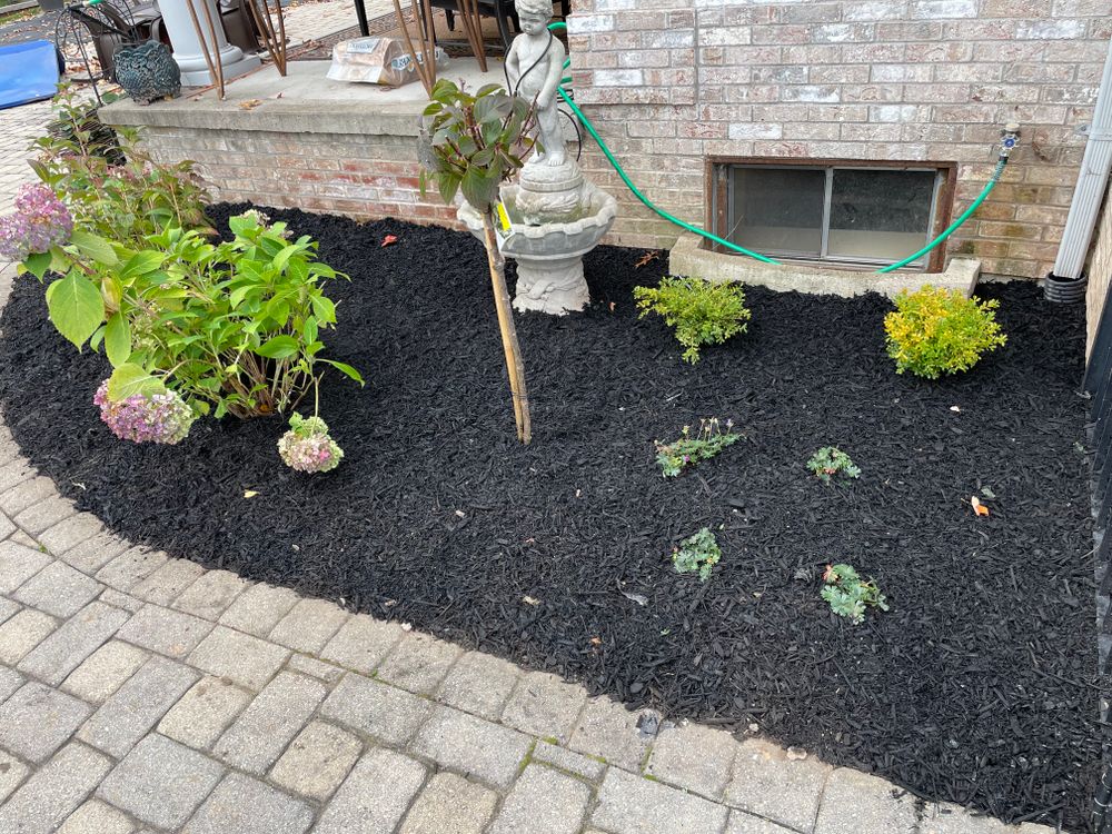 All Photos for Adams Landscaping in Springfield, MA