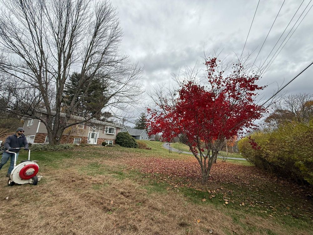 All Photos for Ardisi Property Maintenance LLC in Poughkeepsie, NY 