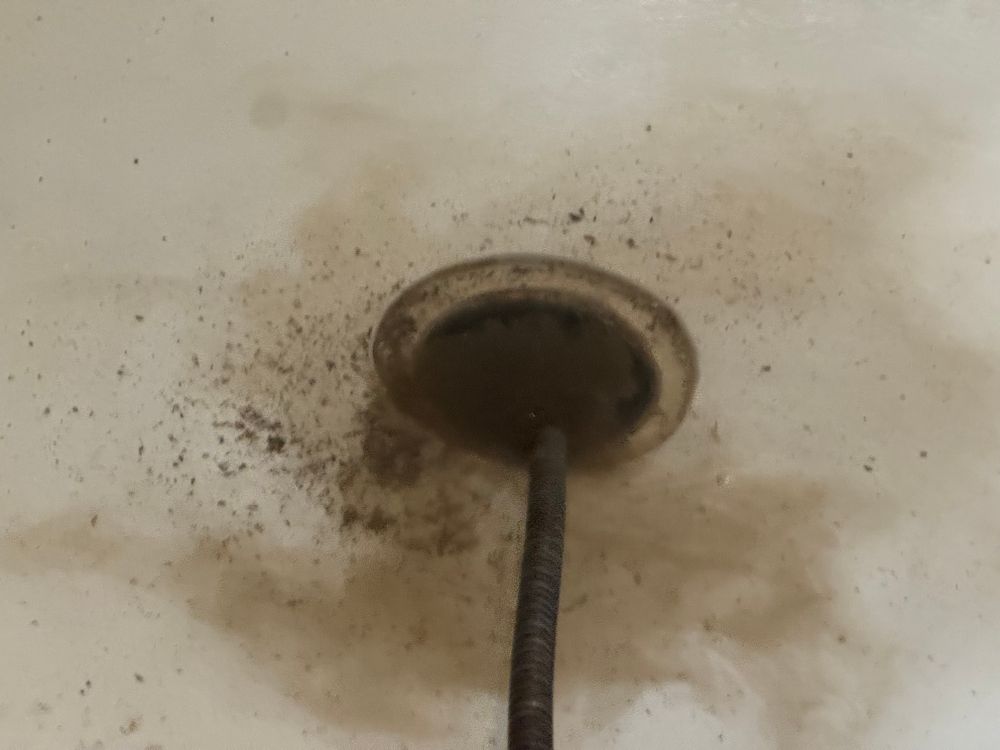 All Photos for Jersey Drain Masters in Williamstown, NJ
