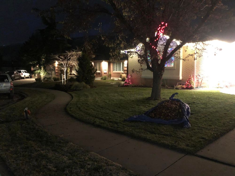 All Photos for Duncan Yard Services in Bountiful, UT