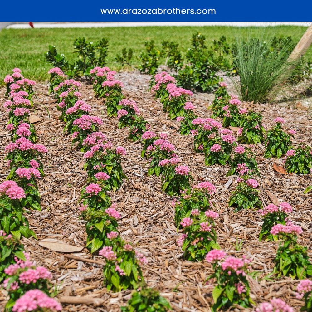 Landscape for Arazoza Brothers Corporation in Miami, FL