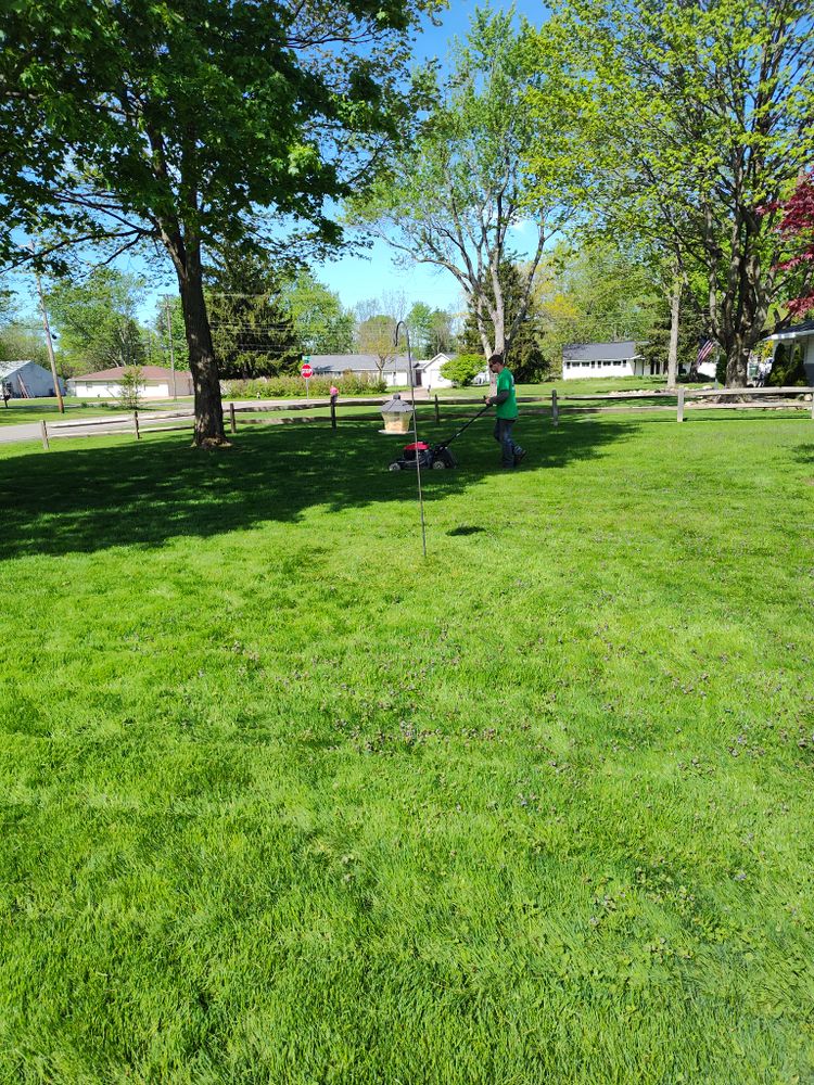 Lawn Care for Lanzdorf Lawn & Landscaping  in Stow, OH