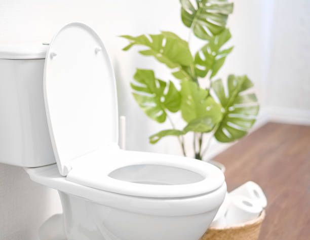 Ensure your bathroom functions perfectly with our expert Toilet Repairs and Installation service, delivering reliable solutions for leaks, clogs, or upgrades to enhance efficiency and comfort in your home. for Methodical Plumbing Services in San Antonio, TX