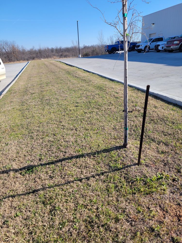 Lawn Care for R&M Lawn Services in Tulsa, OK