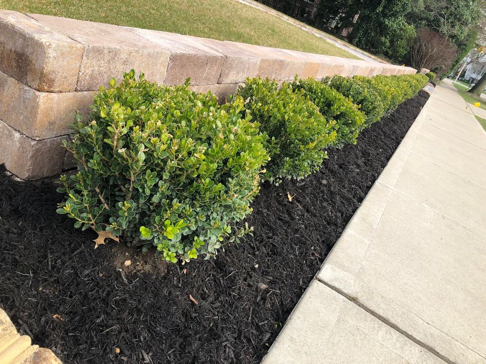 All Photos for Elegant Lawns & Landscaping in Inwood, NY