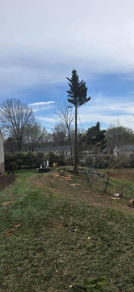 All Photos for Hamlett Tree Service LLC in Clover, VA