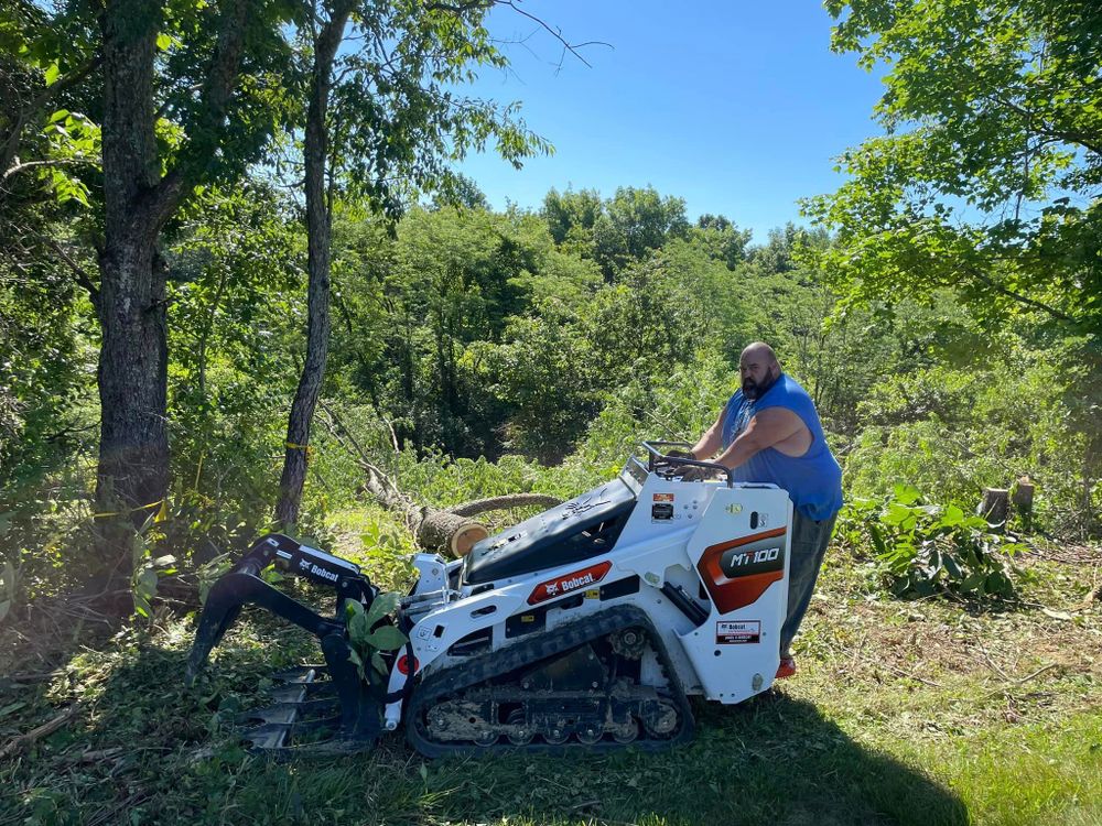 Tree Trimming & Removal for Patterson Excavation in Dry Ridge, KY